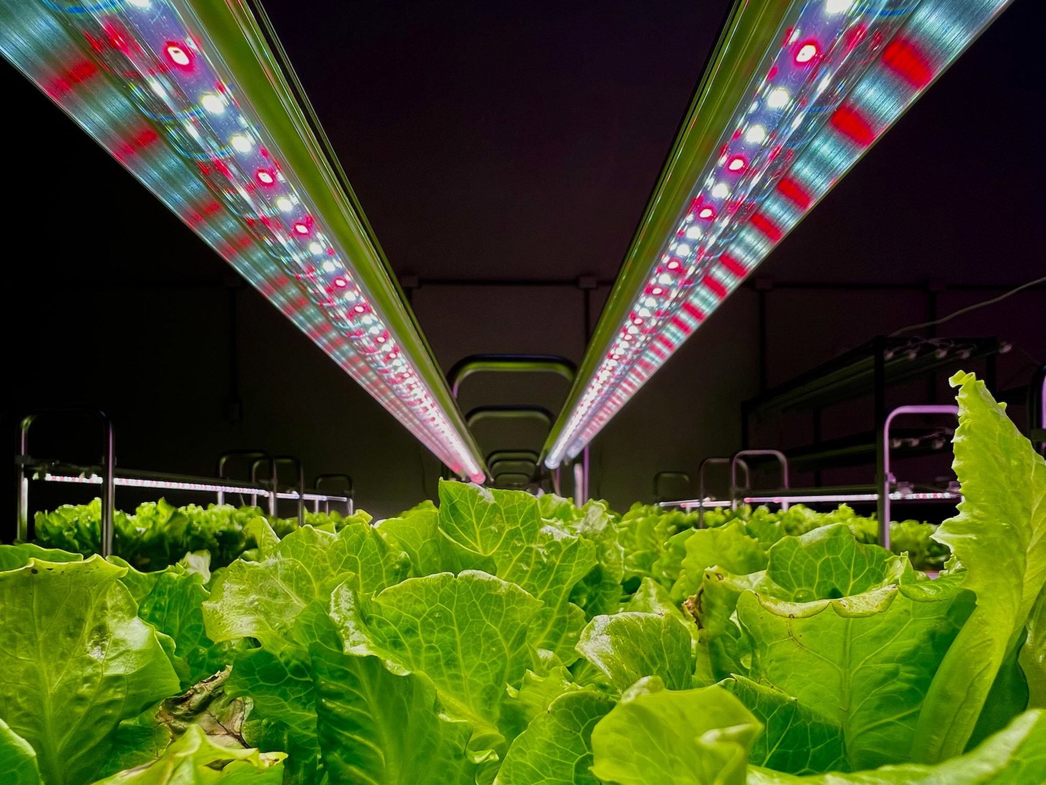 Pinnacle Food Farming system