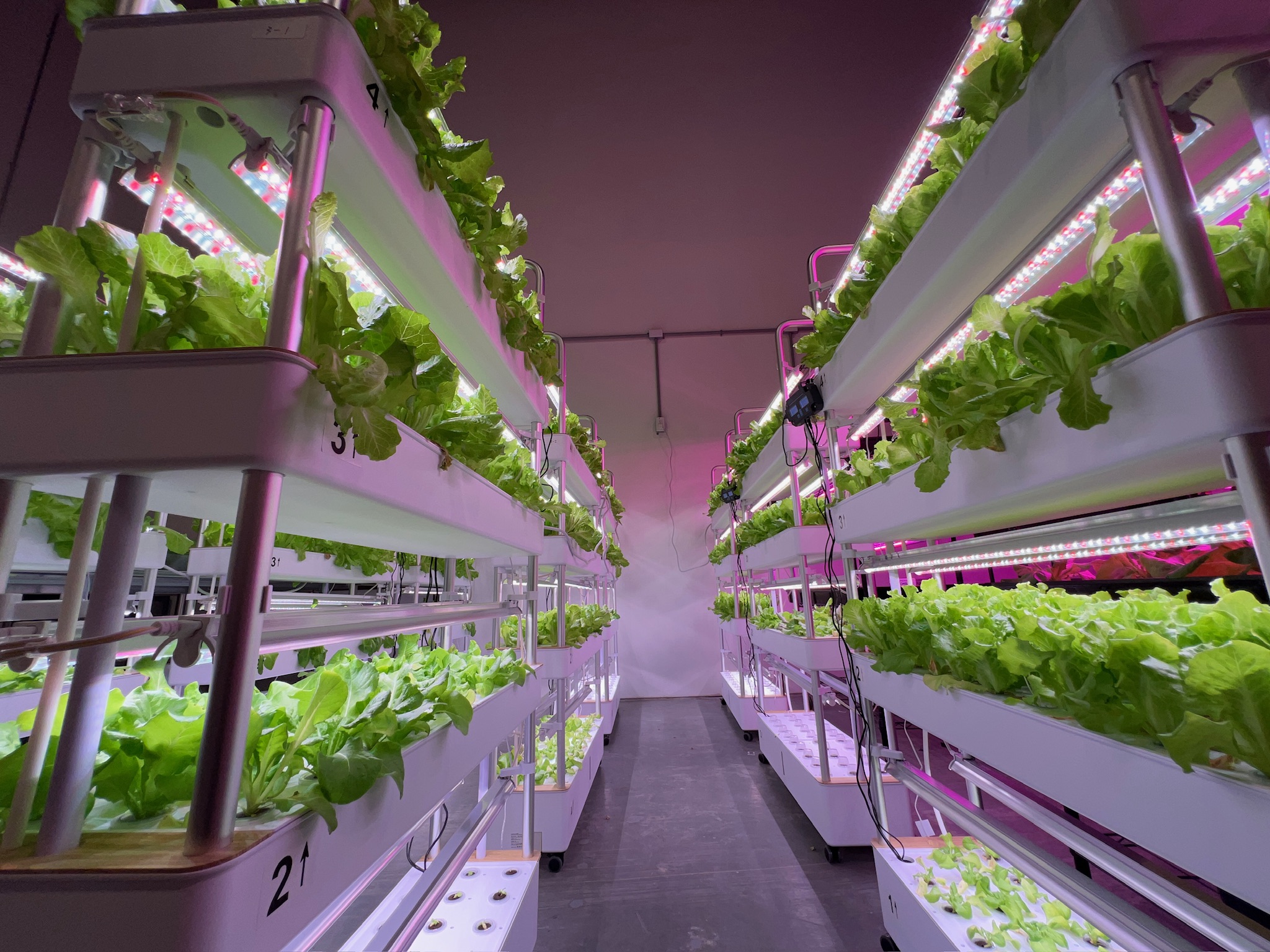 Pinnacle Food Farming system